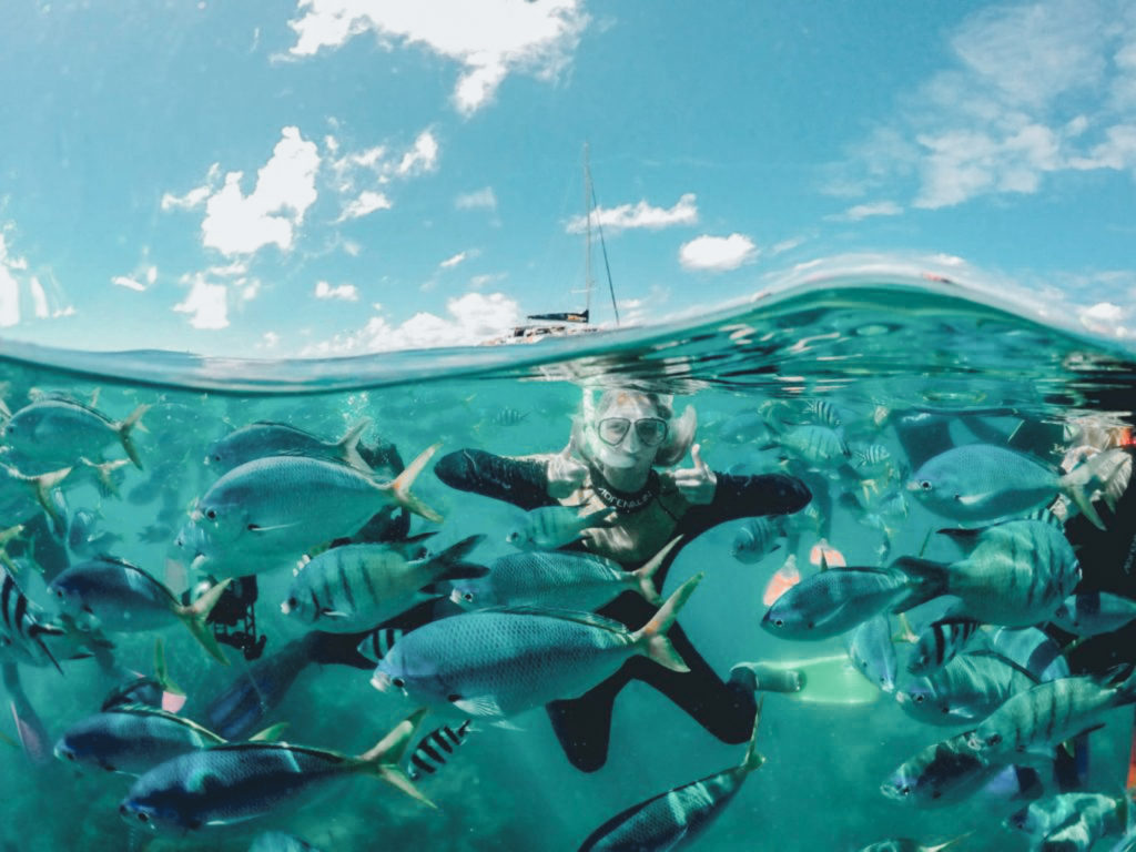 moreton island day trip snorkeling