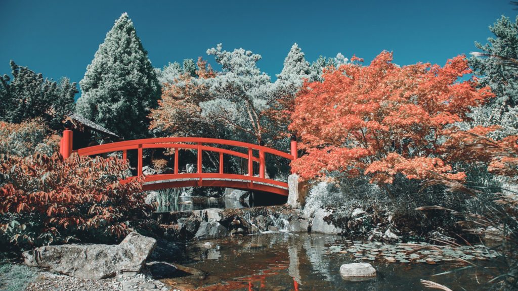 REAL JARDÍN BOTÁNICO DE TASMANIA