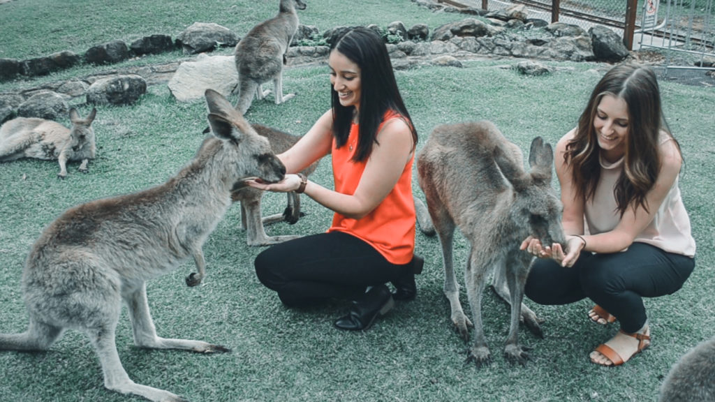 CURRUMBIN WILDLIFE SANCTUARY