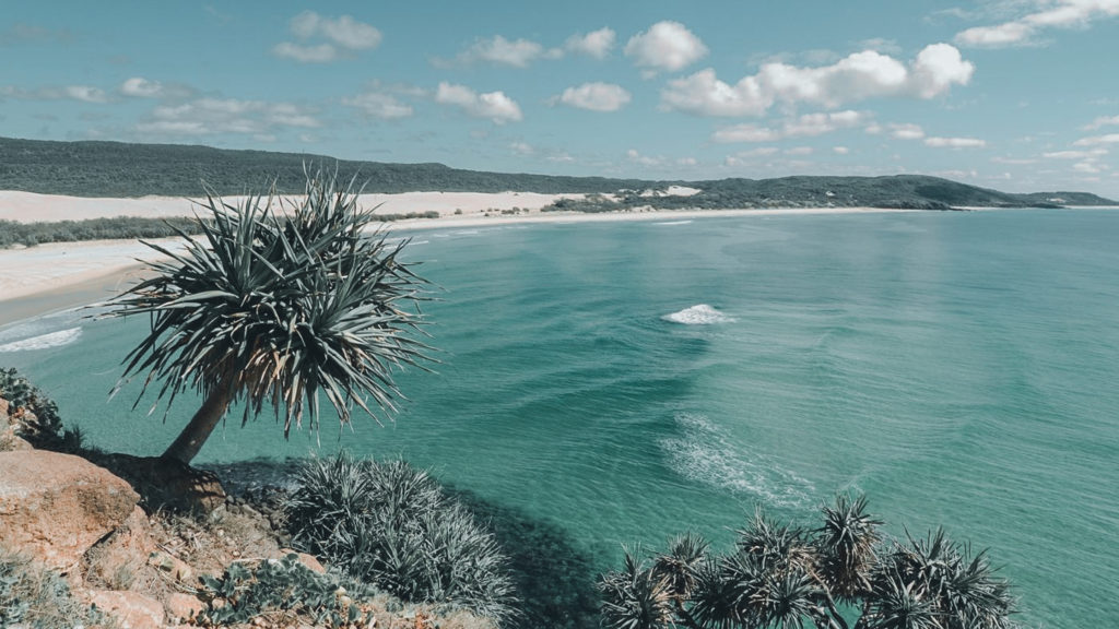 NOOSA HEADS