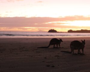 Cape Hillsborough