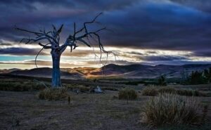 desierto de australia frio