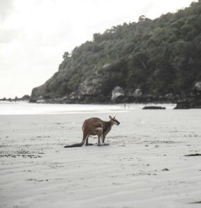 viajar a australia invierno